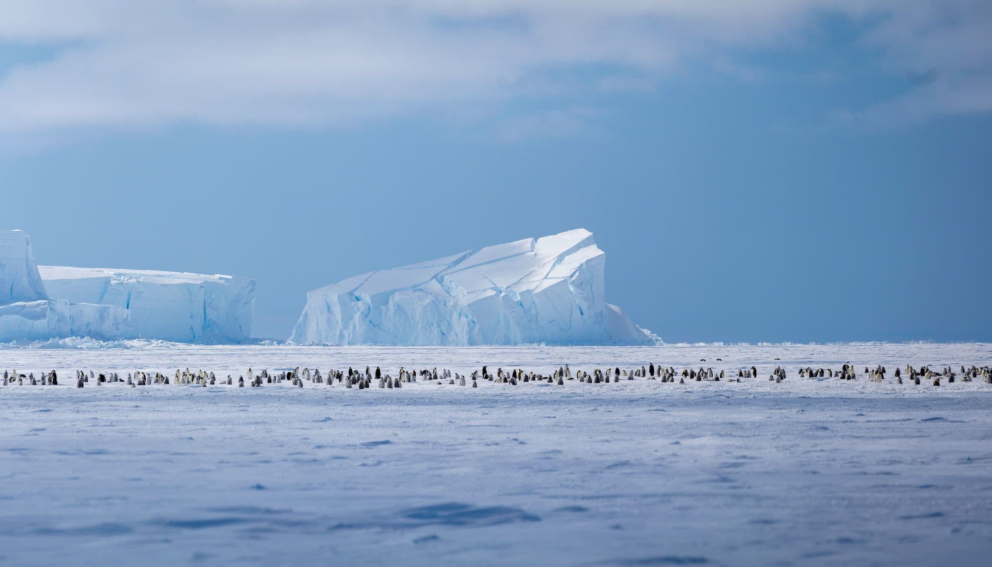 Approaching the Colony