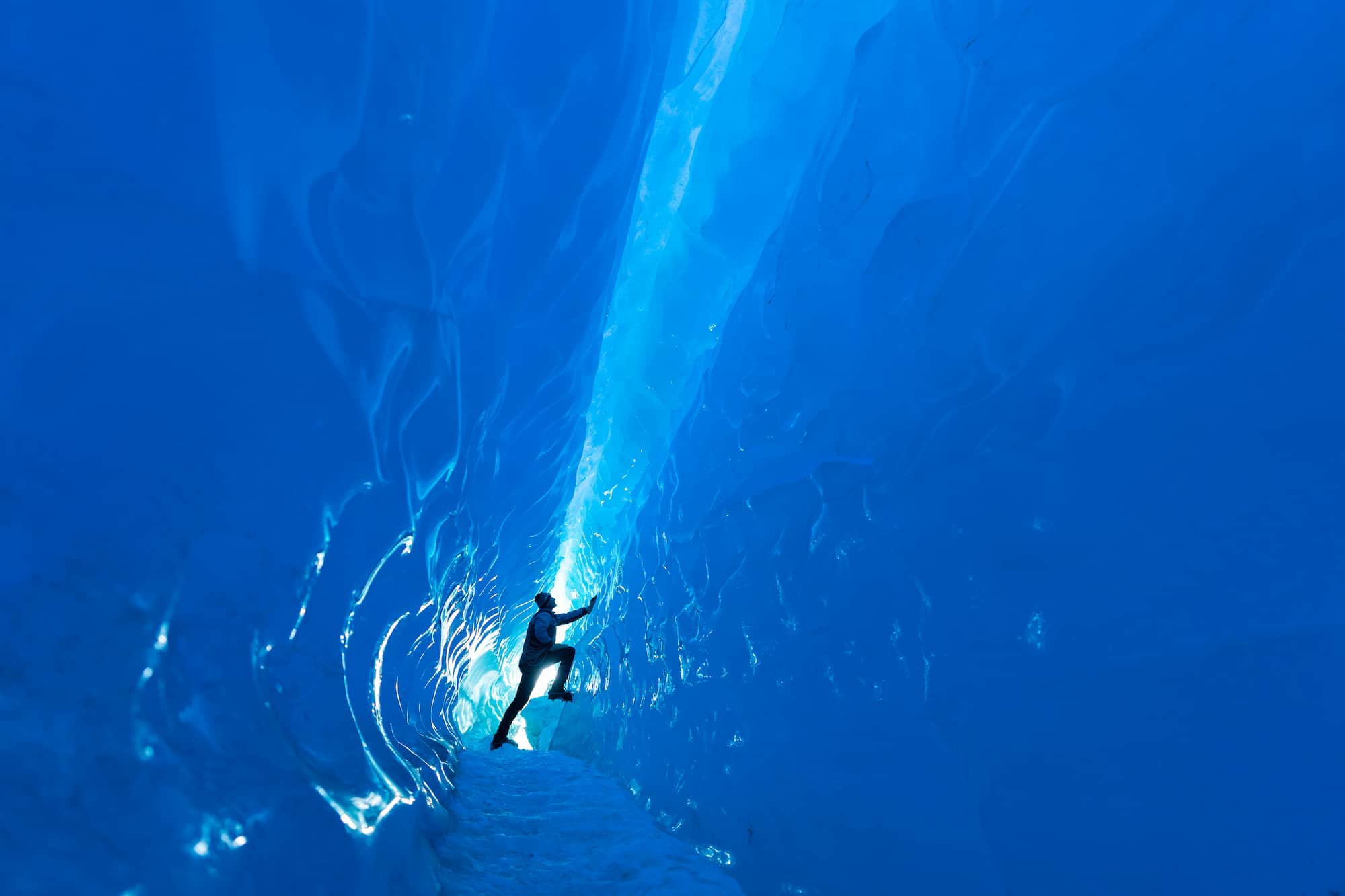 Baby Penguins & Blue Tunnels