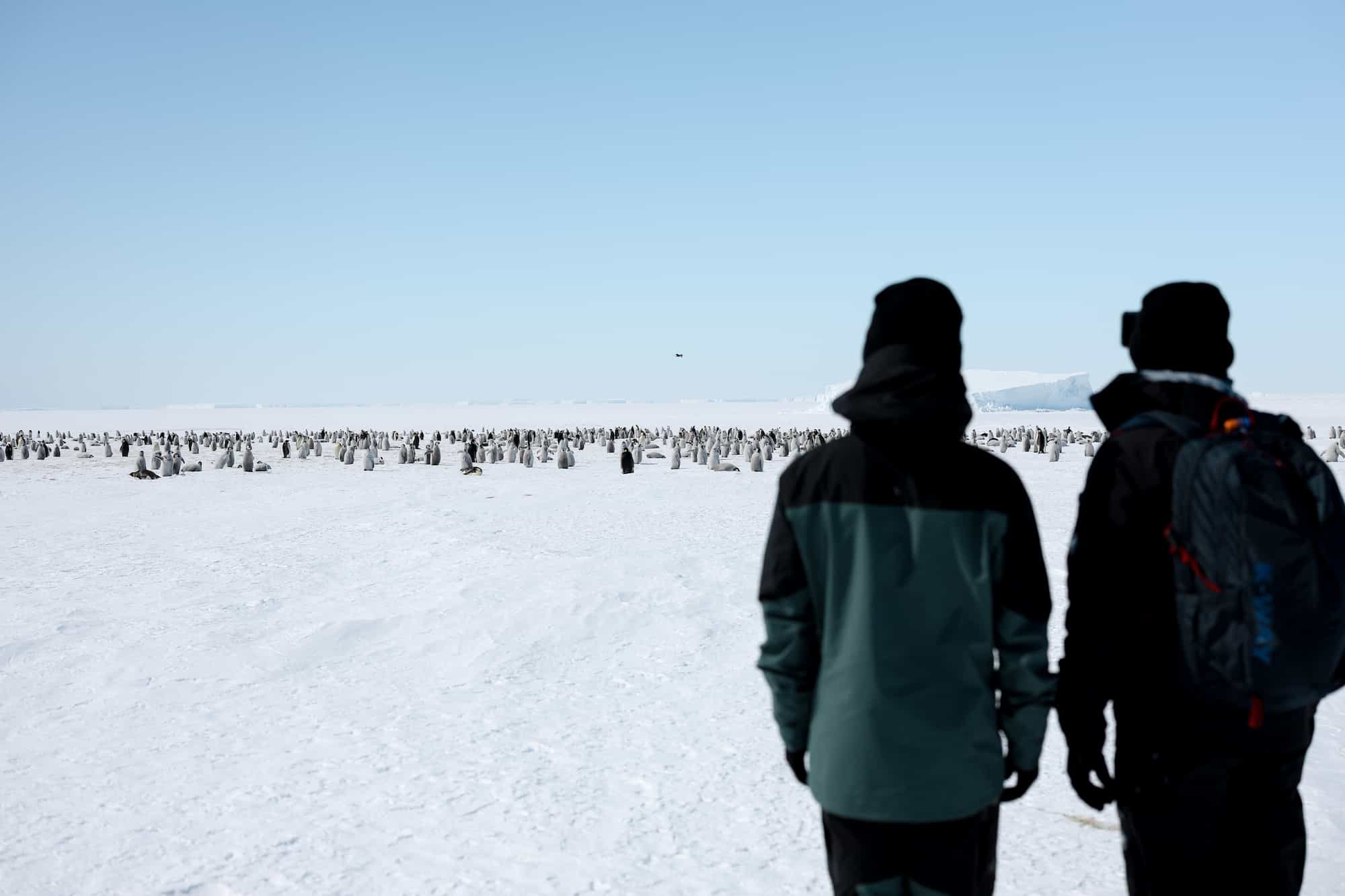 The Emperor Penguin Colony